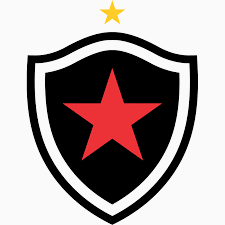 Botafogo FC Fodbold